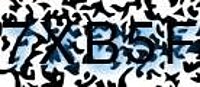 grafischer Sicherheitscode