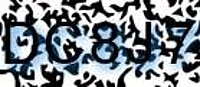 grafischer Sicherheitscode